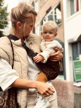 Wildride Toddler Carrier