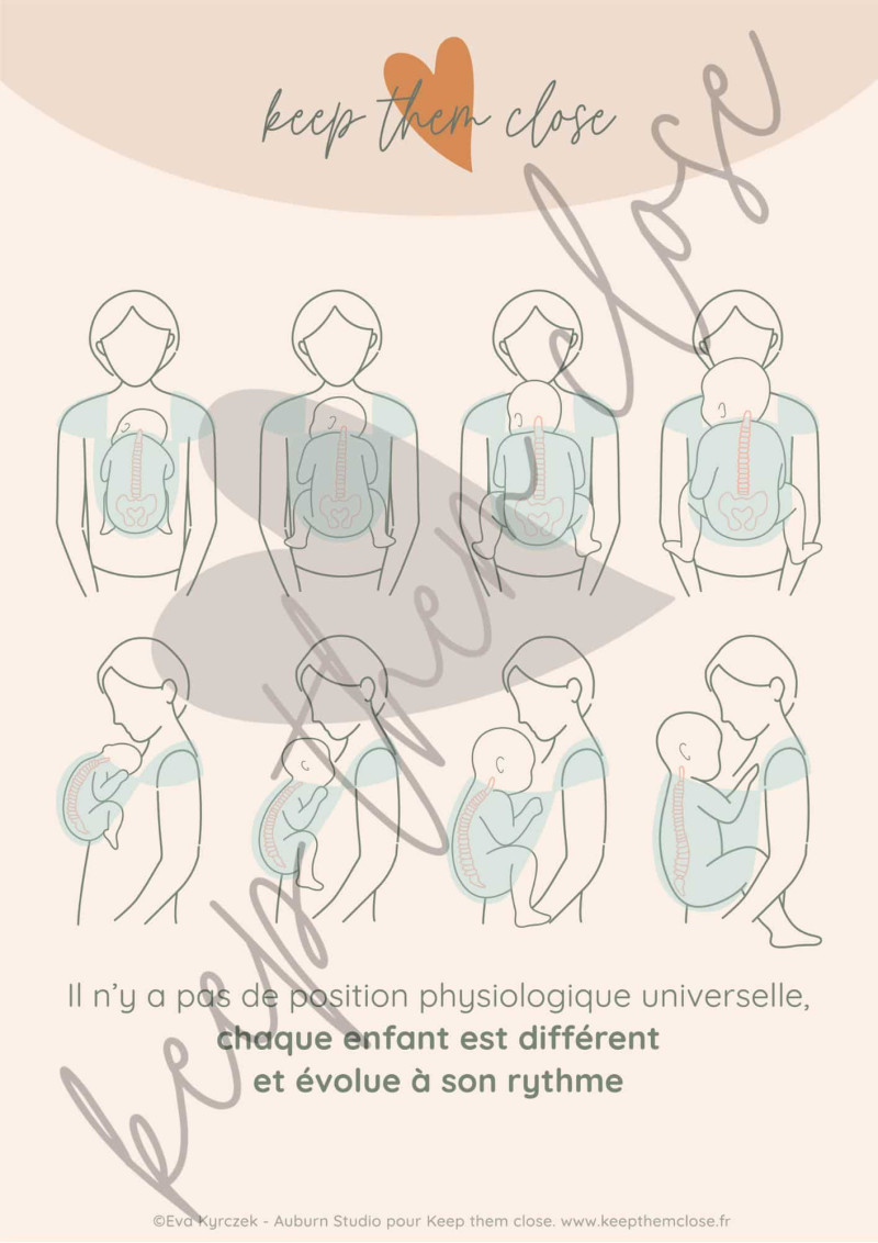 Affiches Portage physiologique (numérique)