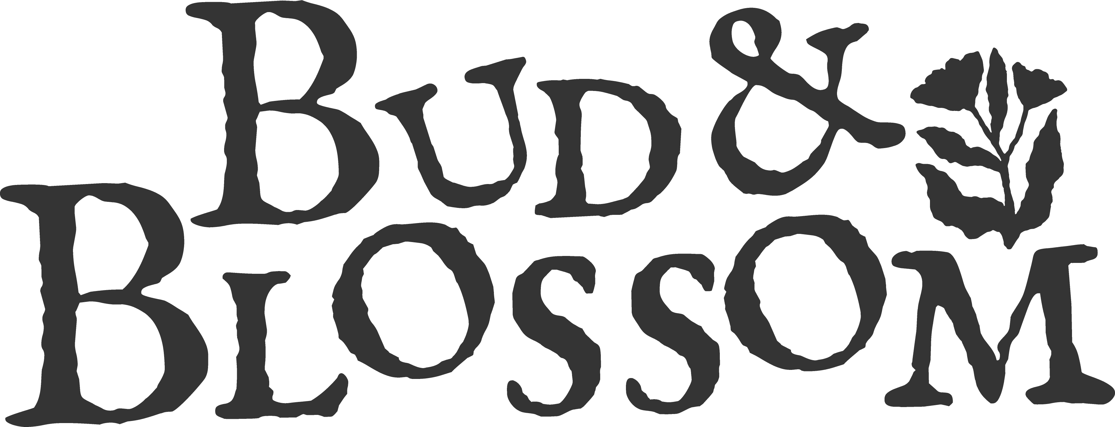 Bud and Blossom