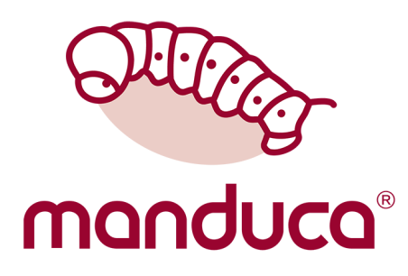 Manduca