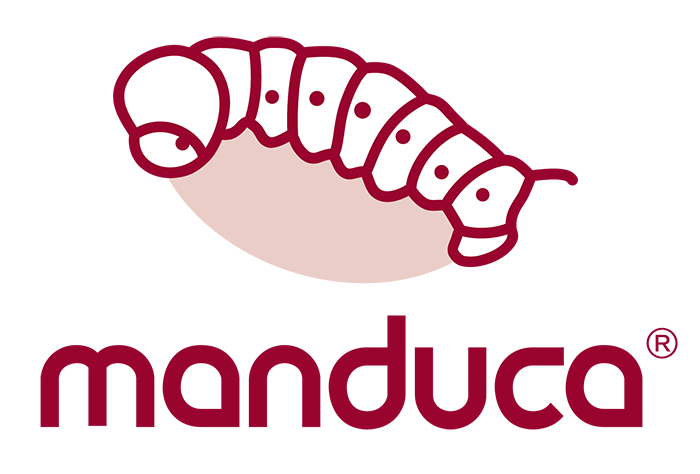 Manduca